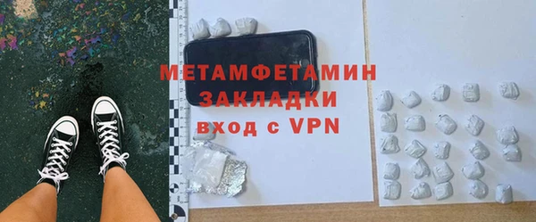 шишки Бородино