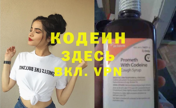 шишки Бородино