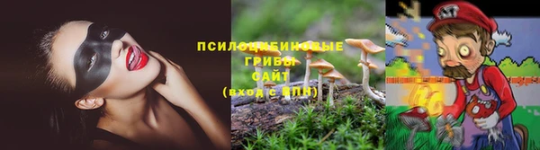 прущая мука Бронницы