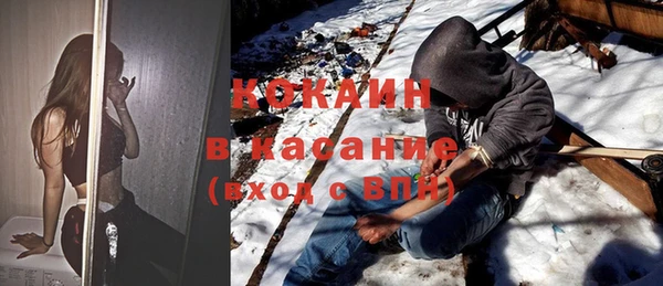шишки Бородино