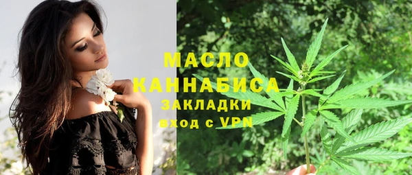 шишки Бородино