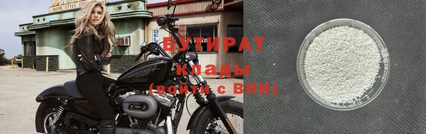 шишки Бородино