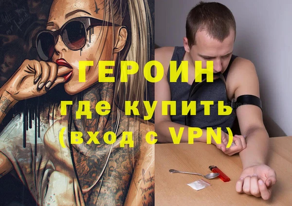 шишки Бородино