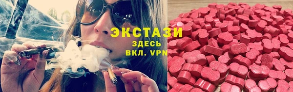 шишки Бородино