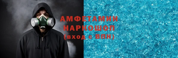 шишки Бородино